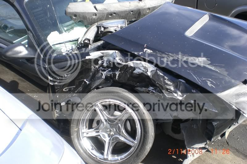 mustang023.jpg