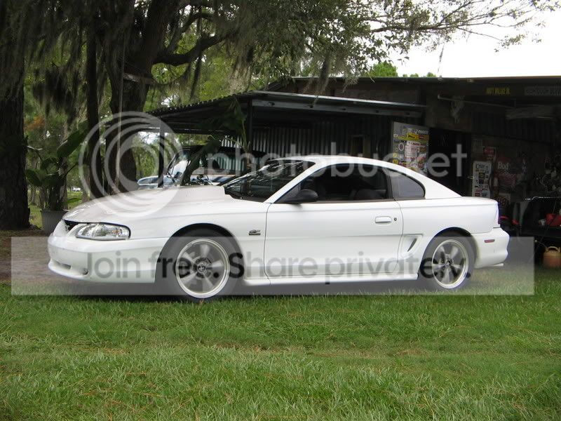 Wingless001.jpg