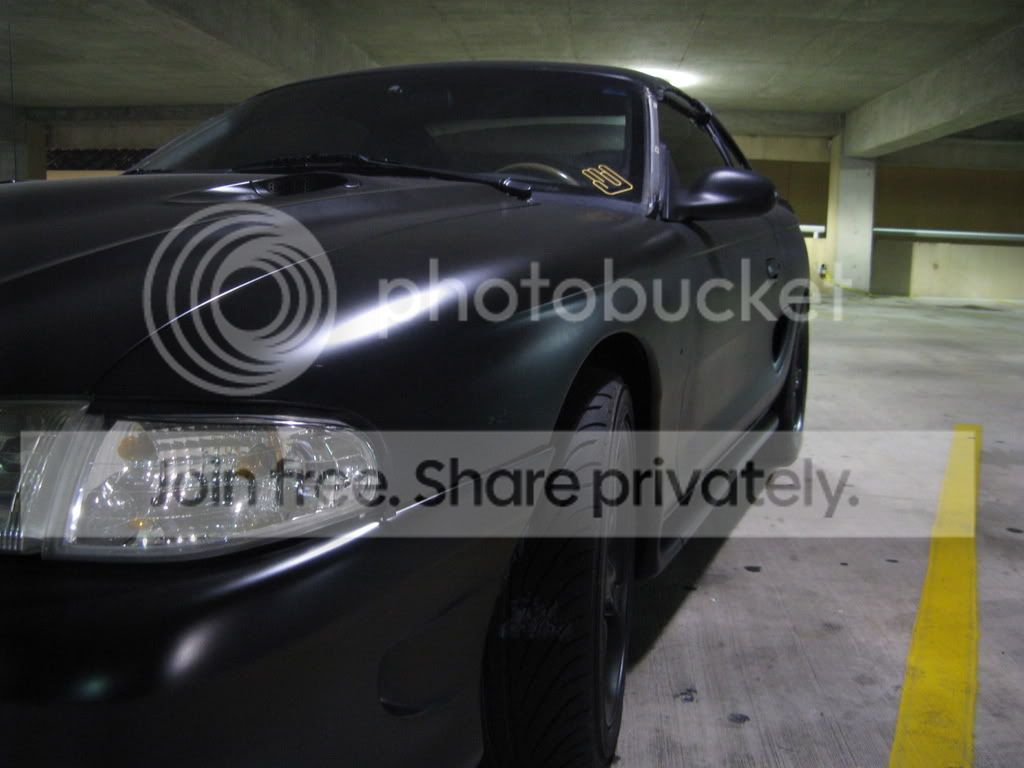 Picture015.jpg
