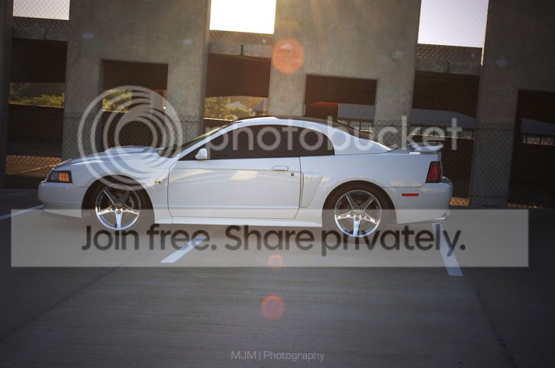 DSC_3275edit.jpg