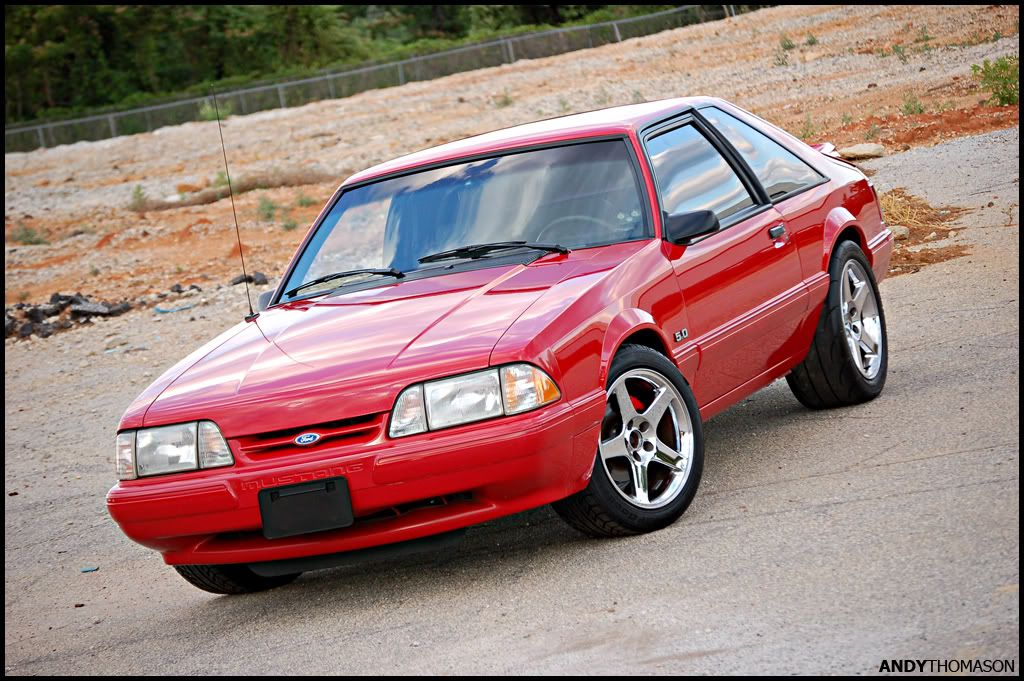 Mustangshoot57.jpg