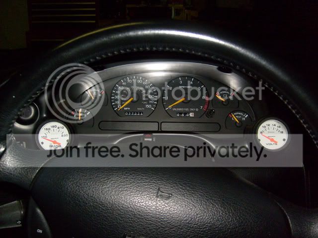 Picture005-6.jpg