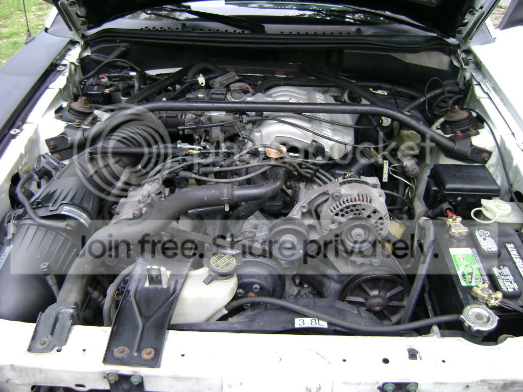 Picture022.jpg