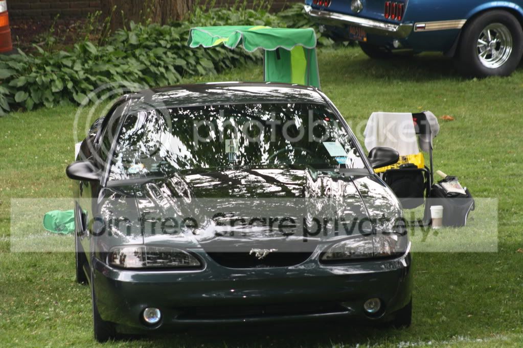 Picture013.jpg
