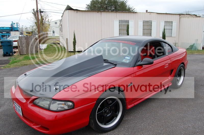 carpic31.jpg