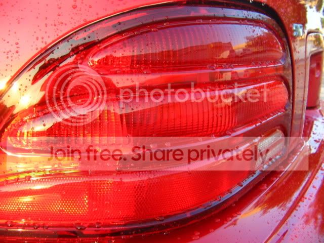 Picture004.jpg