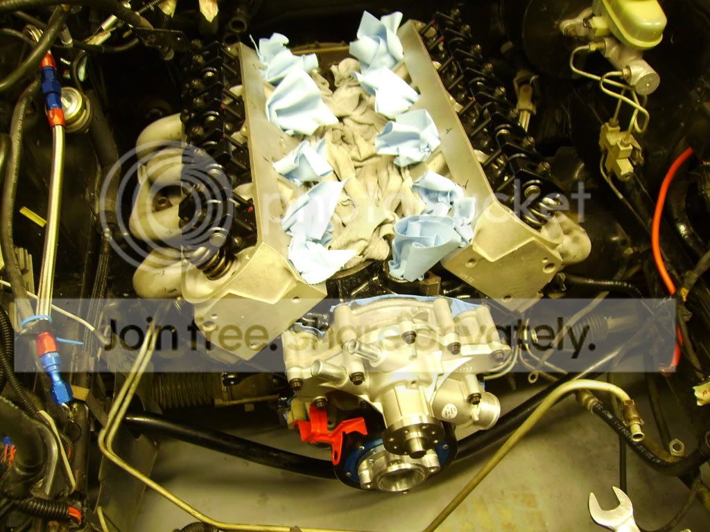 SANY0520.jpg