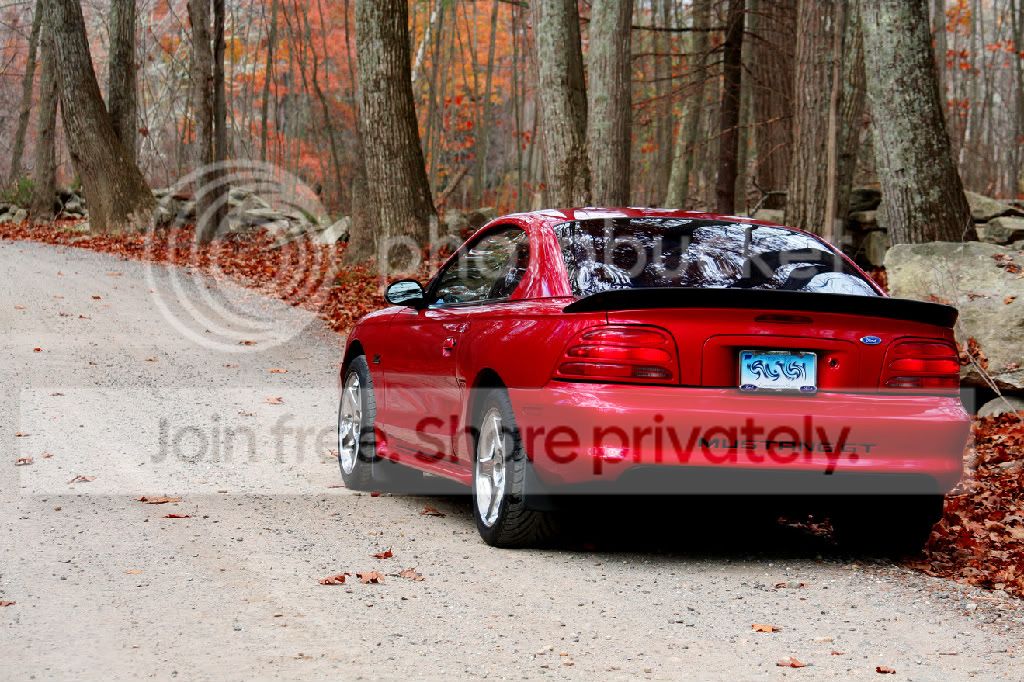 EPICSTANG.jpg