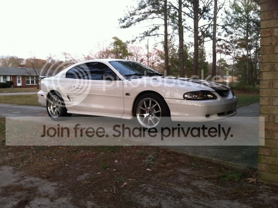 stang2.jpg