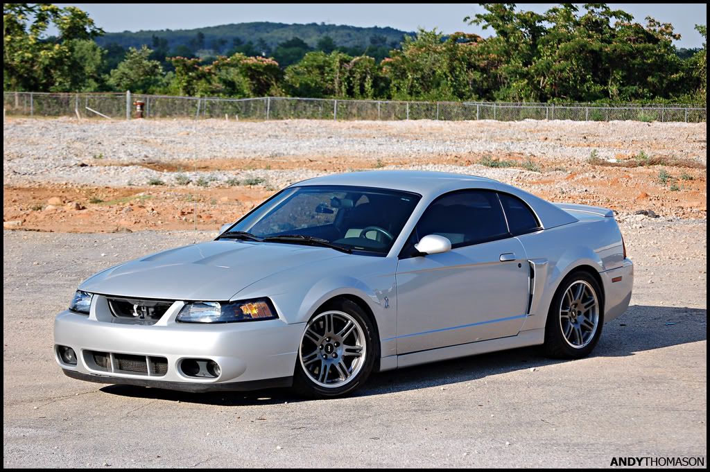 Mustangshoot13.jpg