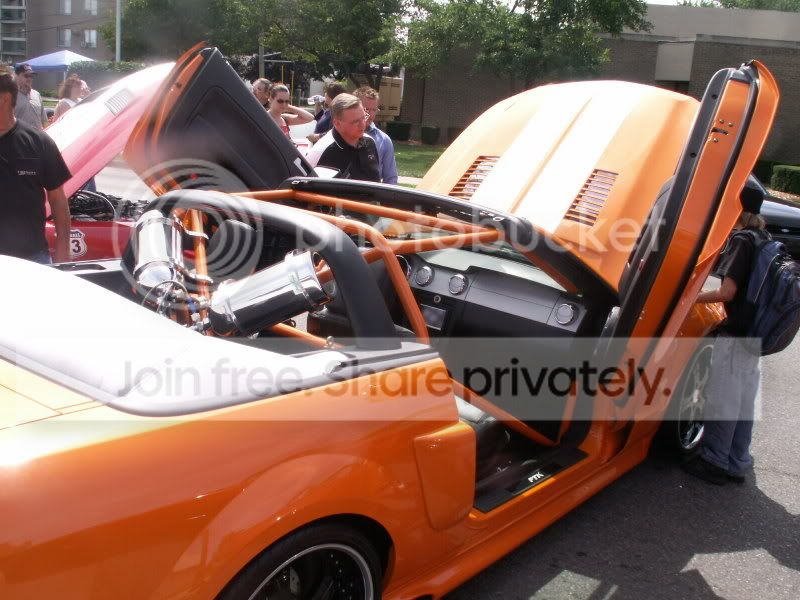 Mustangs126.jpg