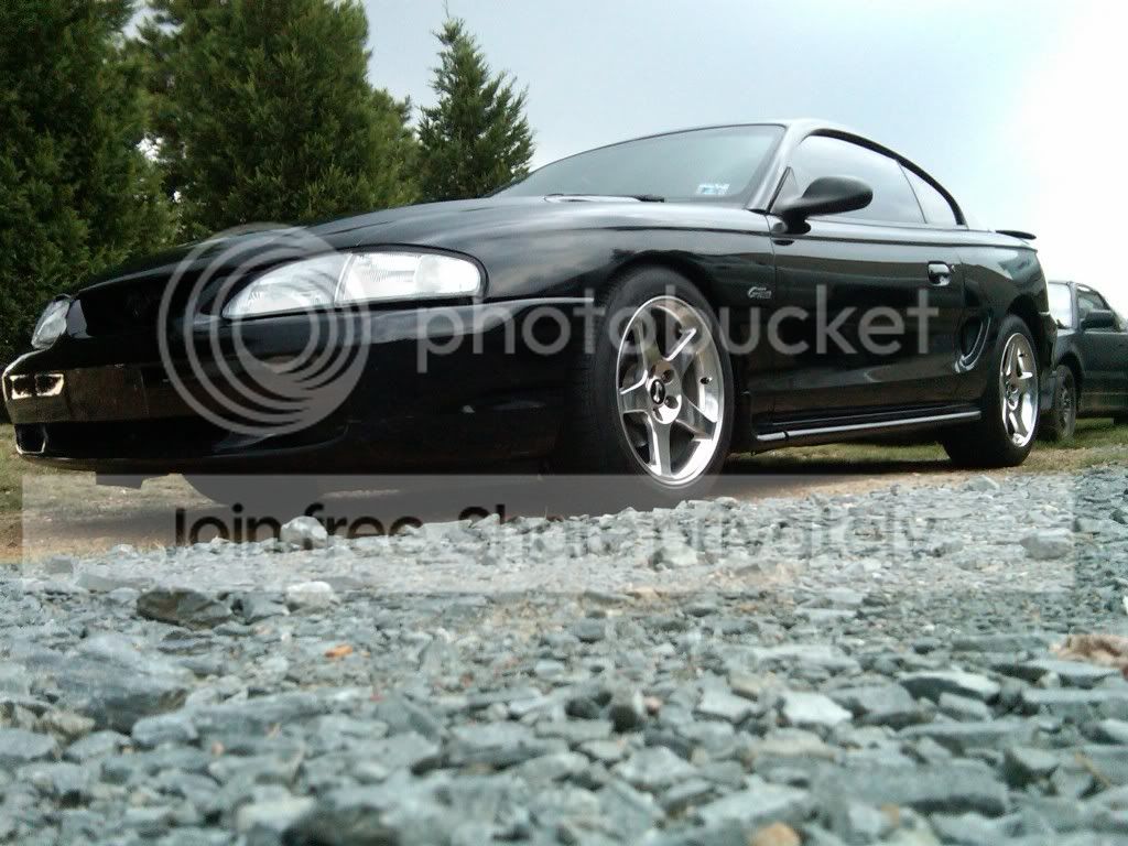 mymustang.jpg