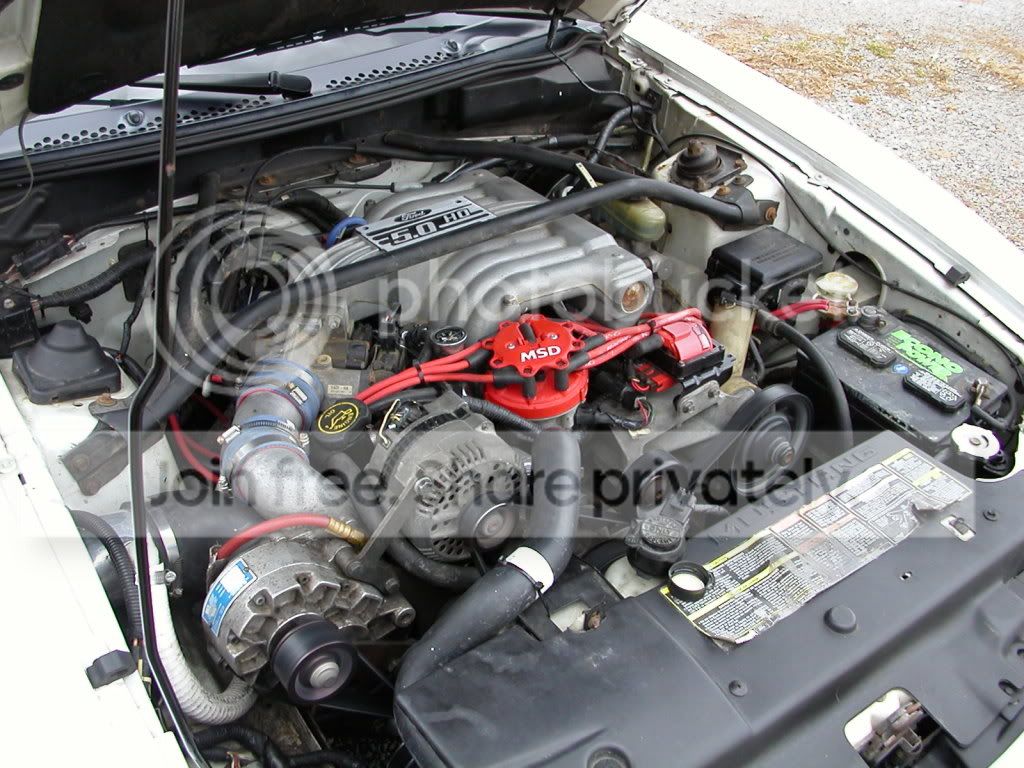 Stang046.jpg