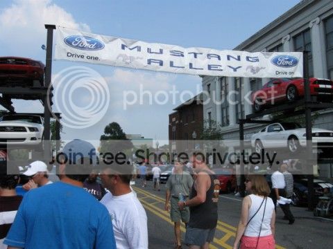 31819340488_large-480x360_zps6c8592b4.jpg
