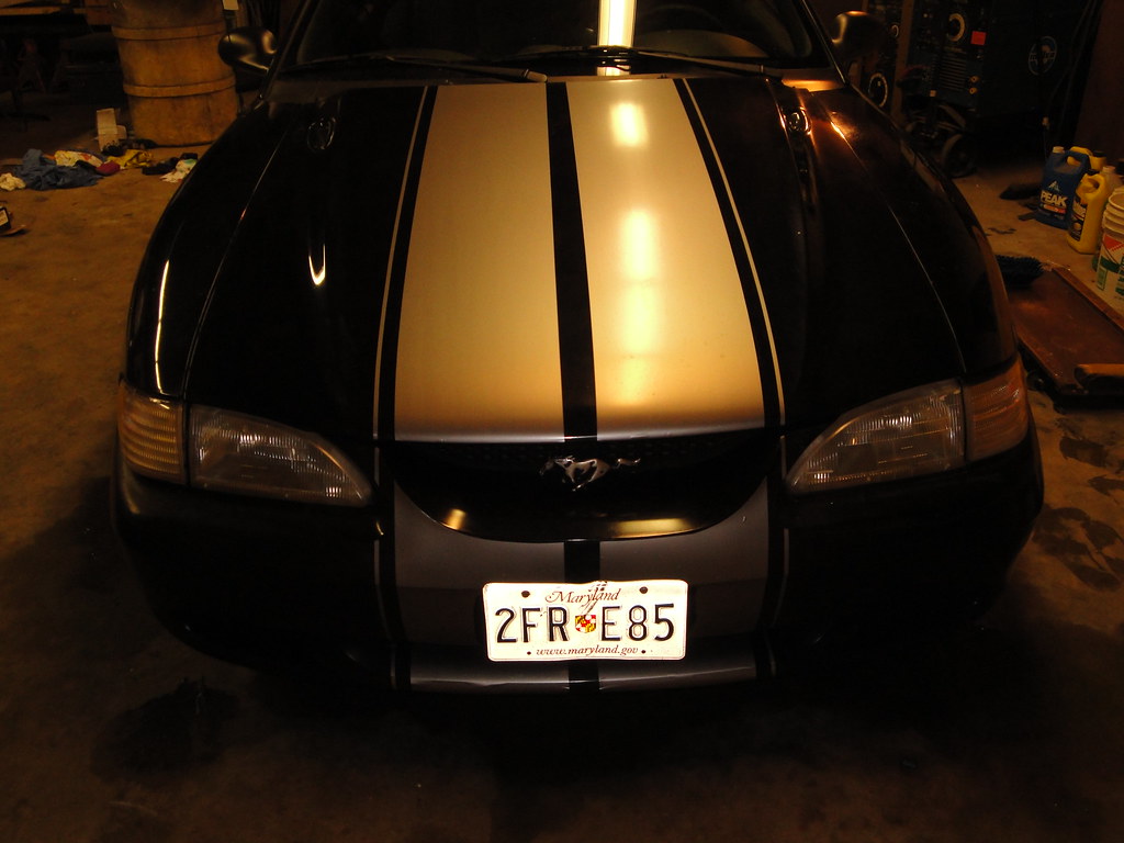 4608180036_af8b6793ca_b.jpg