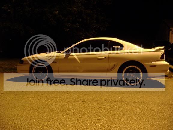 shelbywheels005.jpg