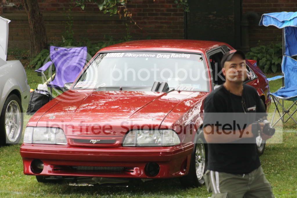 Picture014.jpg
