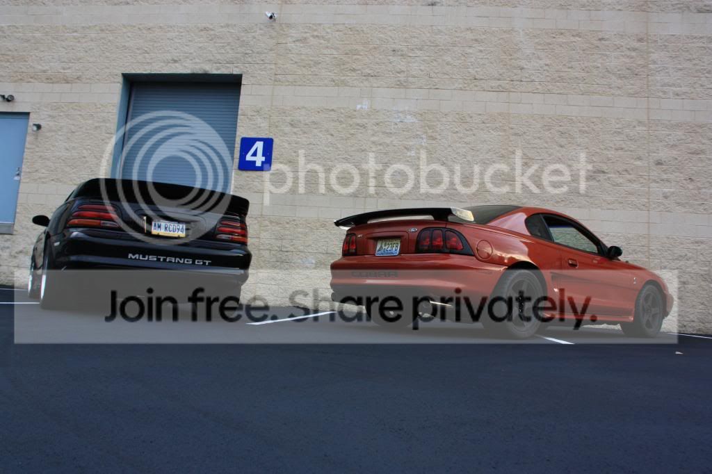 IMG_1788_zps074c3b2a.jpg