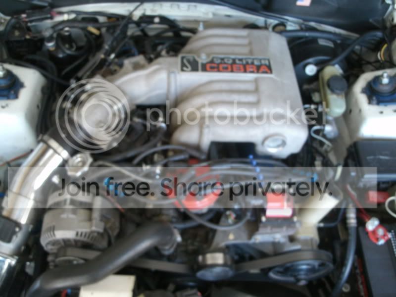 GEDC0234.jpg