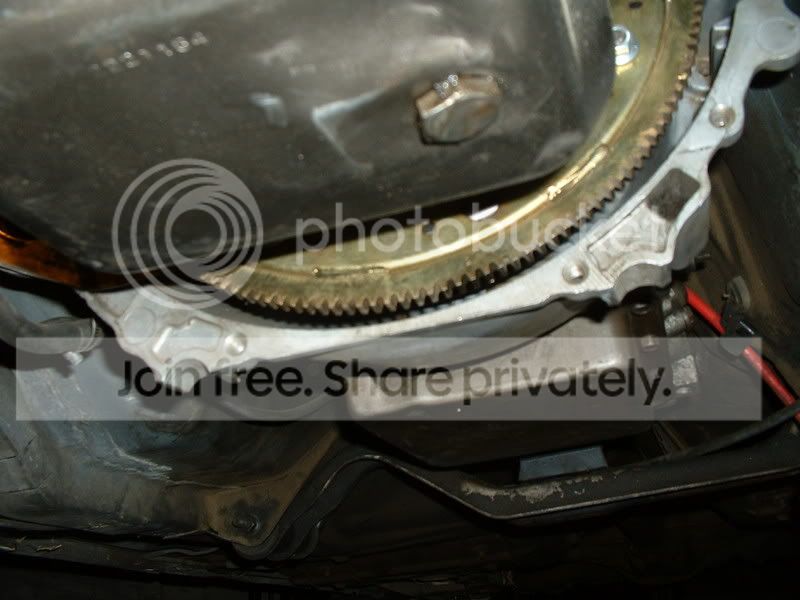 headers007.jpg