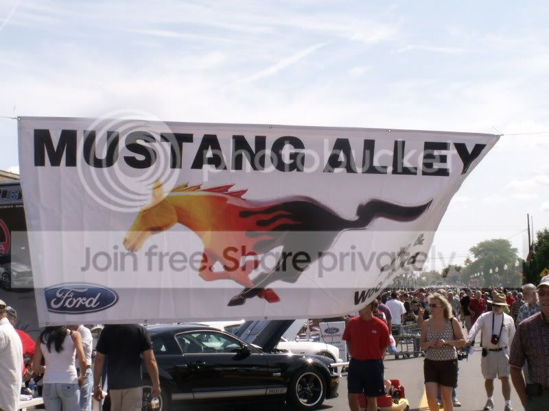 Mustangs117.jpg
