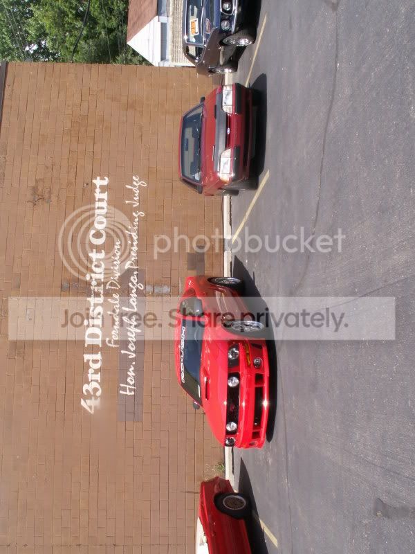 Mustangs131.jpg
