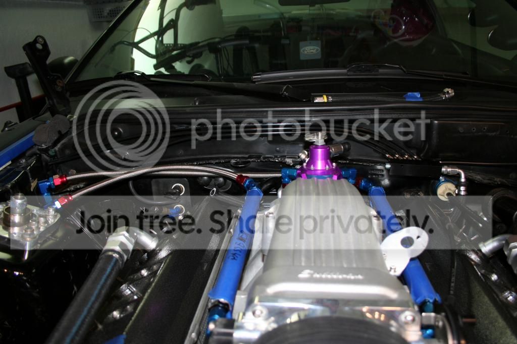 IMG_7087_zps2e88060b.jpg