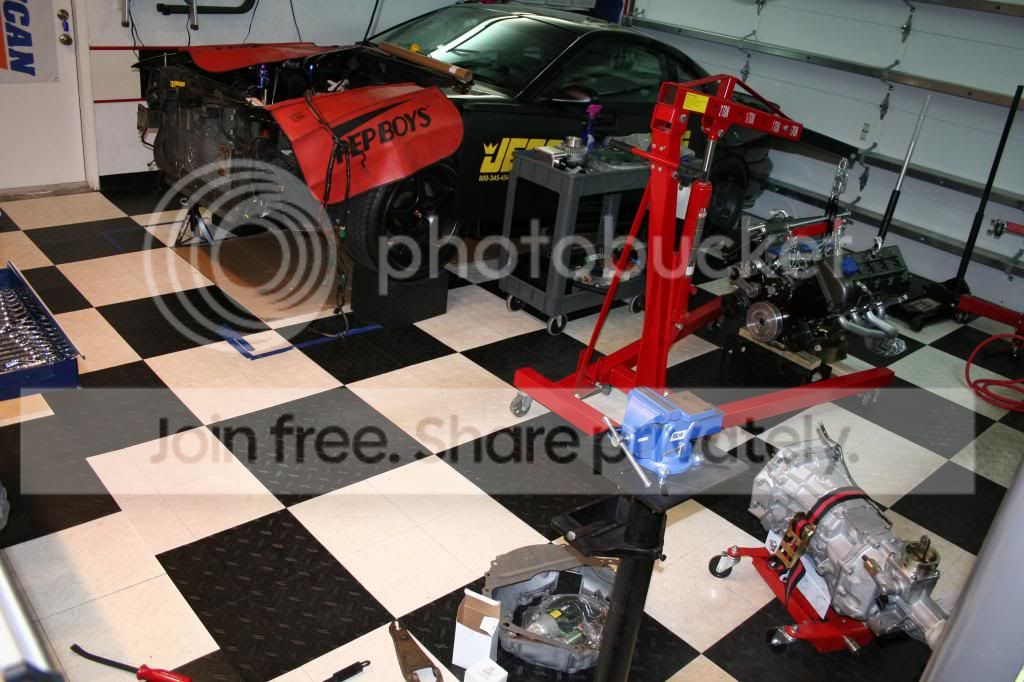 IMG_6932_zps12e8d288.jpg