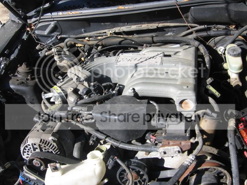 Picture025.jpg
