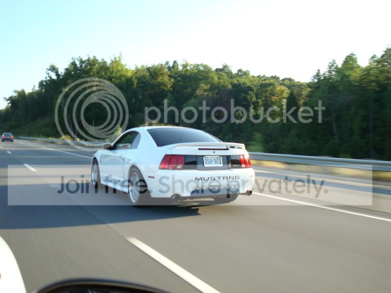 DSC02013-1.jpg