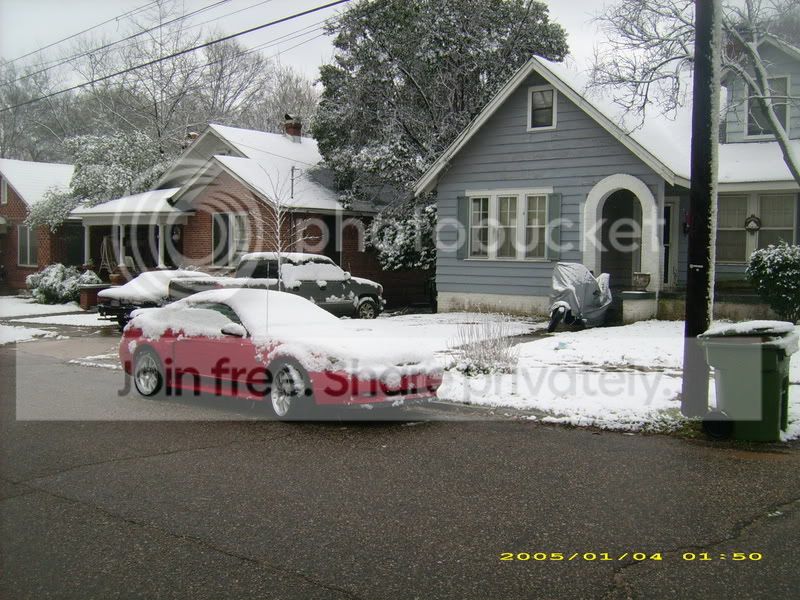 march1stsnow012.jpg