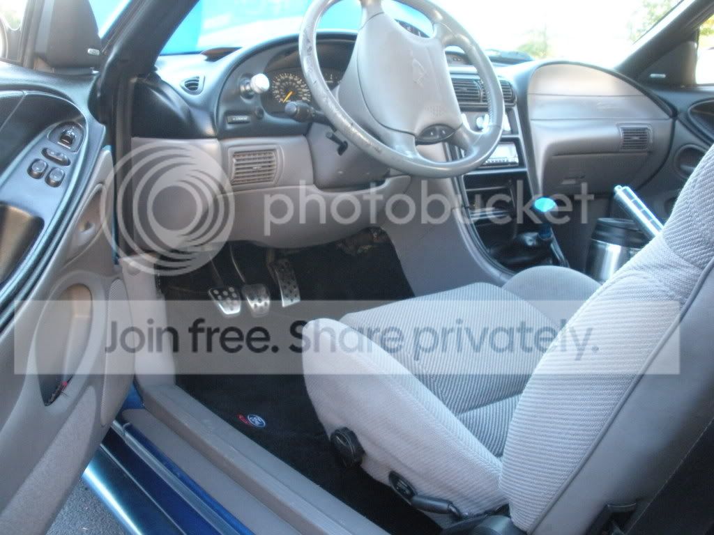 Mustang006.jpg