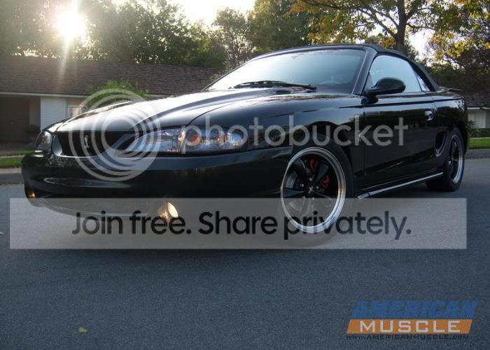 americanmuscle.jpg