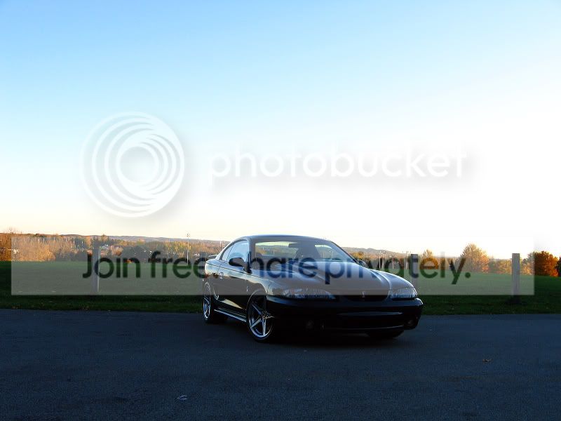 1995_Cobra_090_2.jpg