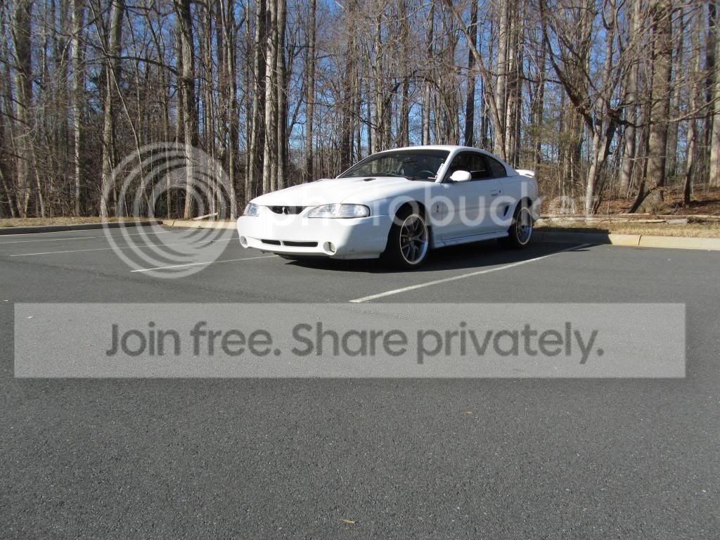 IMG_0035_zpse222eca6.jpg