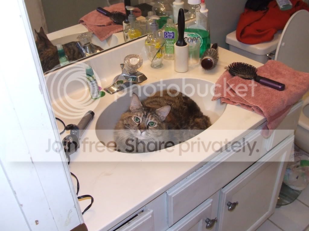 DSCF6111.jpg