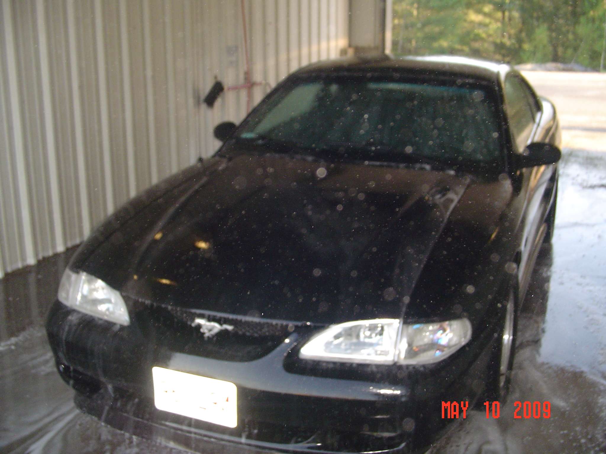 dsc01640vbd.jpg