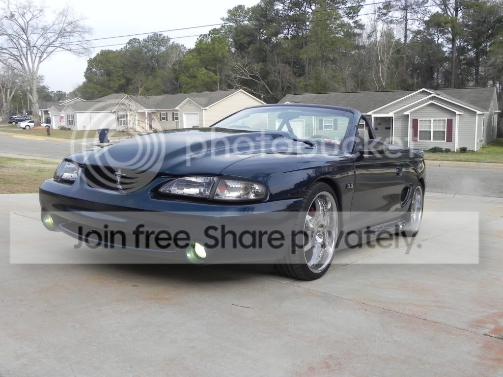Mustang2-9-12004.jpg