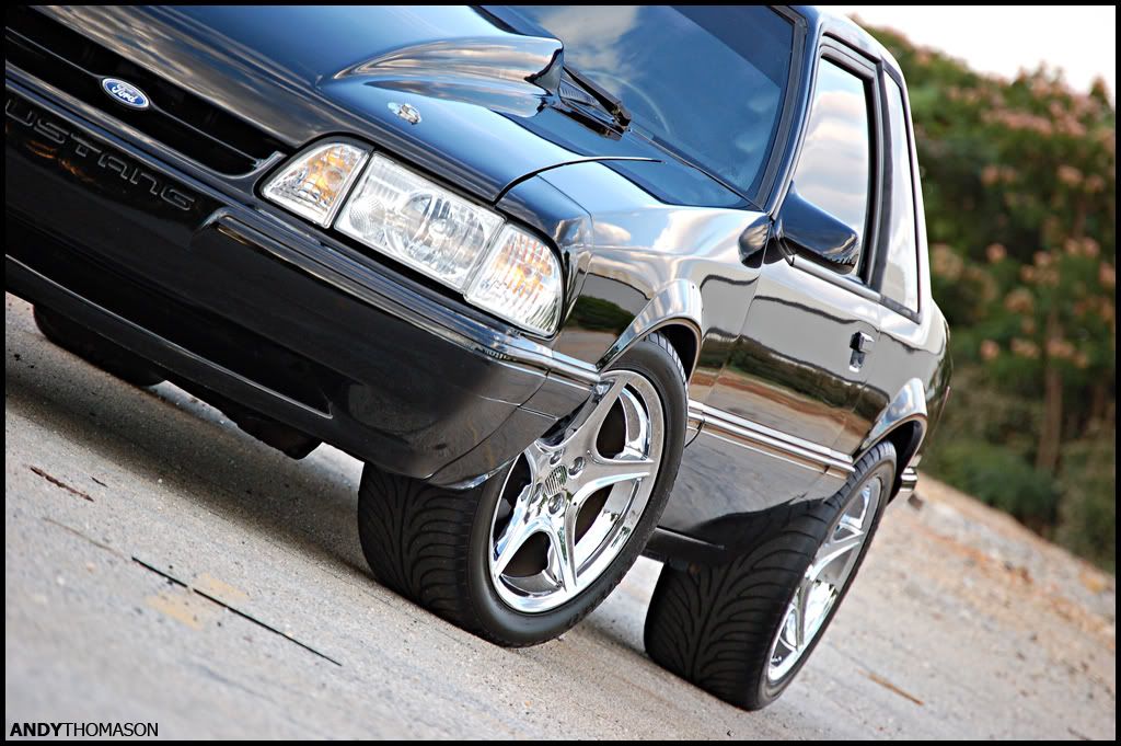 Mustangshoot61.jpg