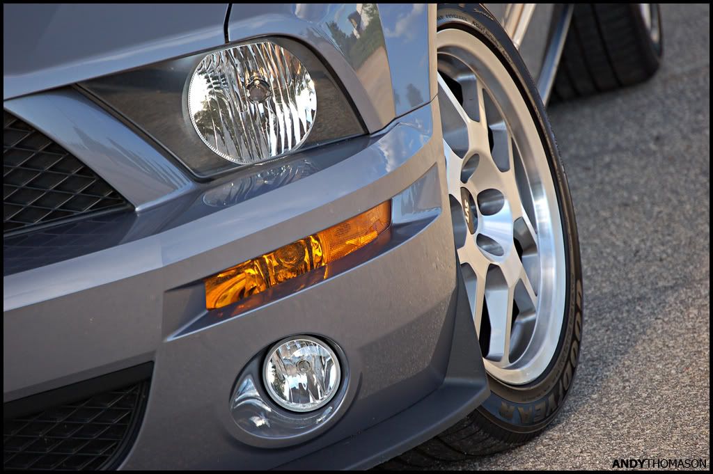 Mustangshoot34.jpg