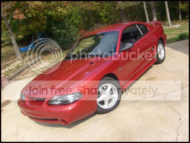 newbumper019-1.jpg