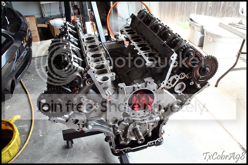 rebuild19.jpg