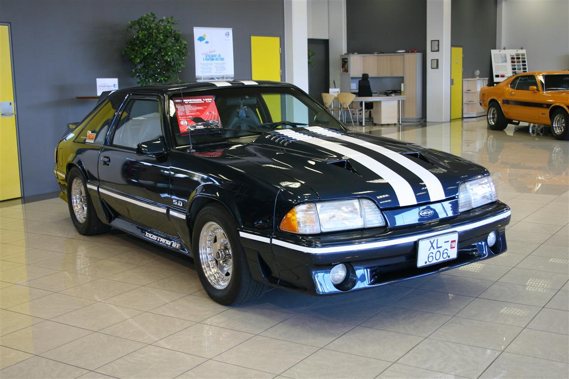 2010_009_blown_fox%20(Medium).jpg