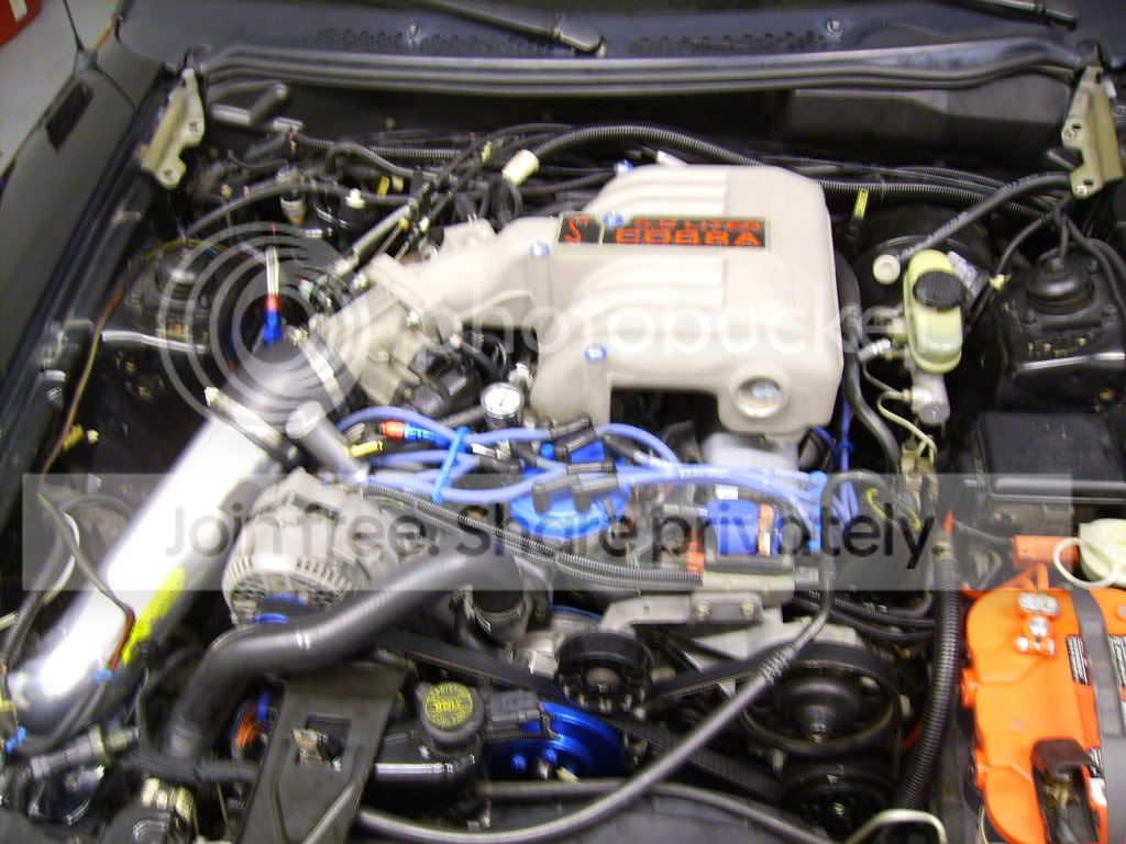 SANY0528.jpg