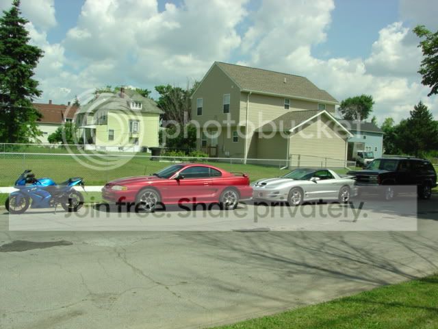 allthewhips009.jpg
