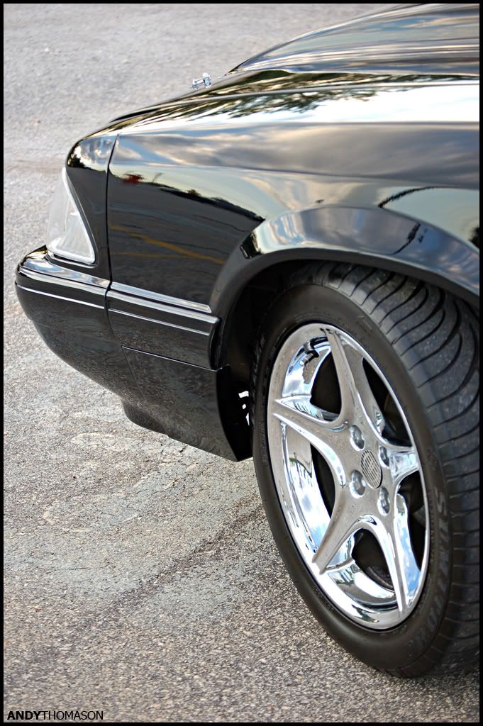 Mustangshoot64.jpg