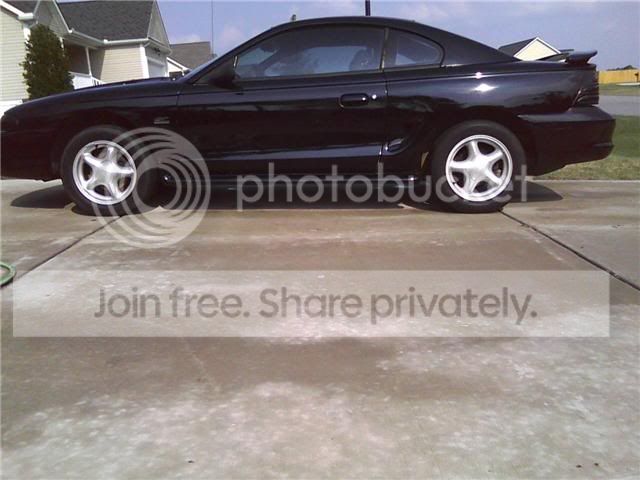 sidemustang6-25.jpg