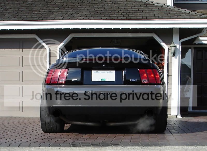 335rear.jpg