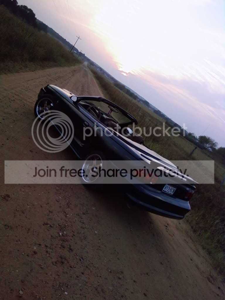 mystang18.jpg