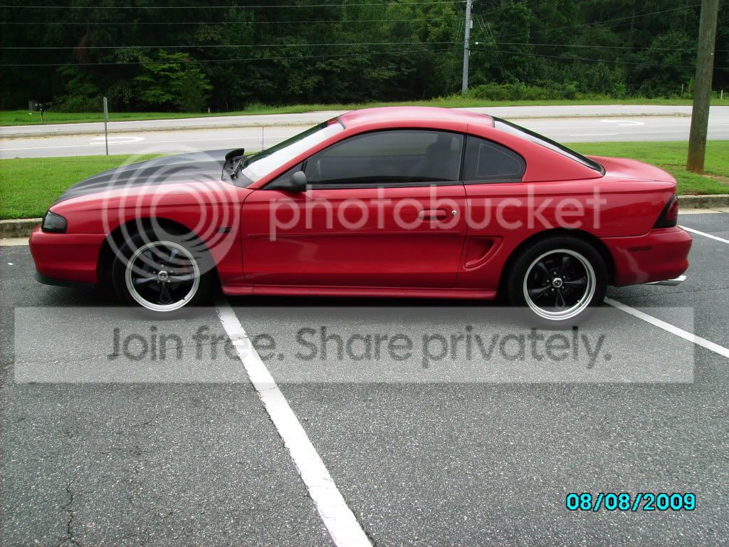 wingless2012.jpg